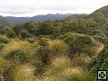 thn_Ruahine - Sunrise Hut 053.jpg